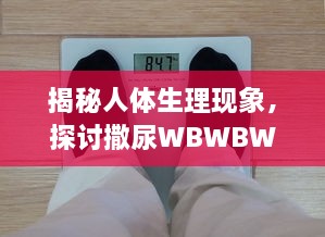 揭秘人体生理现象，探讨撒尿WBWBWB与尿毛的秘密及其相互影响关系