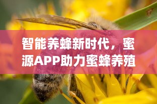 智能养蜂新时代，蜜源APP助力蜜蜂养殖者