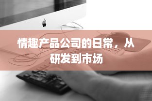 情趣产品公司的日常，从研发到市场