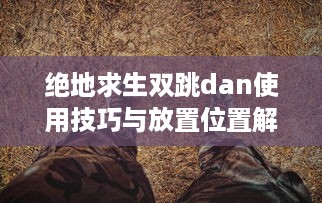 绝地求生双跳dan使用技巧与放置位置解析