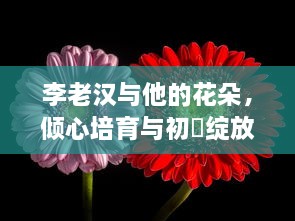 李老汉与他的花朵，倾心培育与初炤绽放