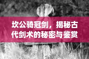 坎公骑冠剑，揭秘古代剑术的秘密与鉴赏中国古代剑铭文化的传世之作