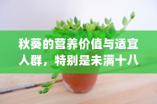 秋葵的营养价值与适宜人群，特别是未满十八岁女生的食用建议