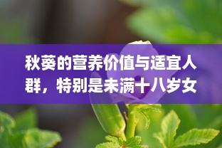 秋葵的营养价值与适宜人群，特别是未满十八岁女生的食用建议