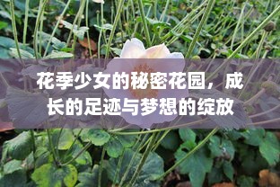 花季少女的秘密花园，成长的足迹与梦想的绽放