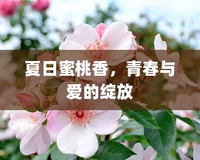 夏日蜜桃香，青春与爱的绽放