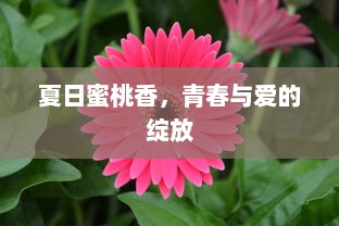 夏日蜜桃香，青春与爱的绽放