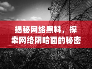 揭秘网络黑料，探索网络阴暗面的秘密与影响