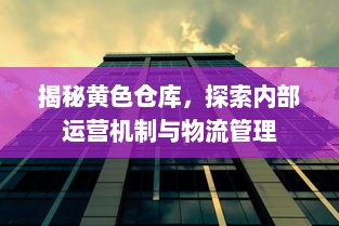 揭秘黄色仓库，探索内部运营机制与物流管理