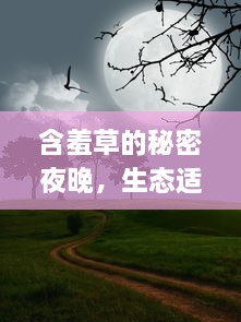 含羞草的秘密夜晚，生态适应学的奥秘