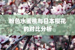 粉色水蜜桃与日本樱花的对比分析