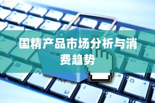 国精产品市场分析与消费趋势