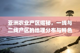 亚洲农业产区揭秘，一线与二线产区的地理分布与特色产品