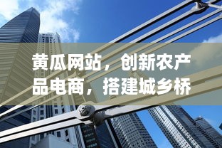 黄瓜网站，创新农产品电商，搭建城乡桥梁