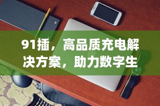 91插，高品质充电解决方案，助力数字生活升级