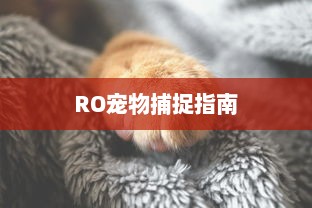 RO宠物捕捉指南