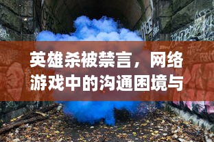 英雄杀被禁言，网络游戏中的沟通困境与解决之道